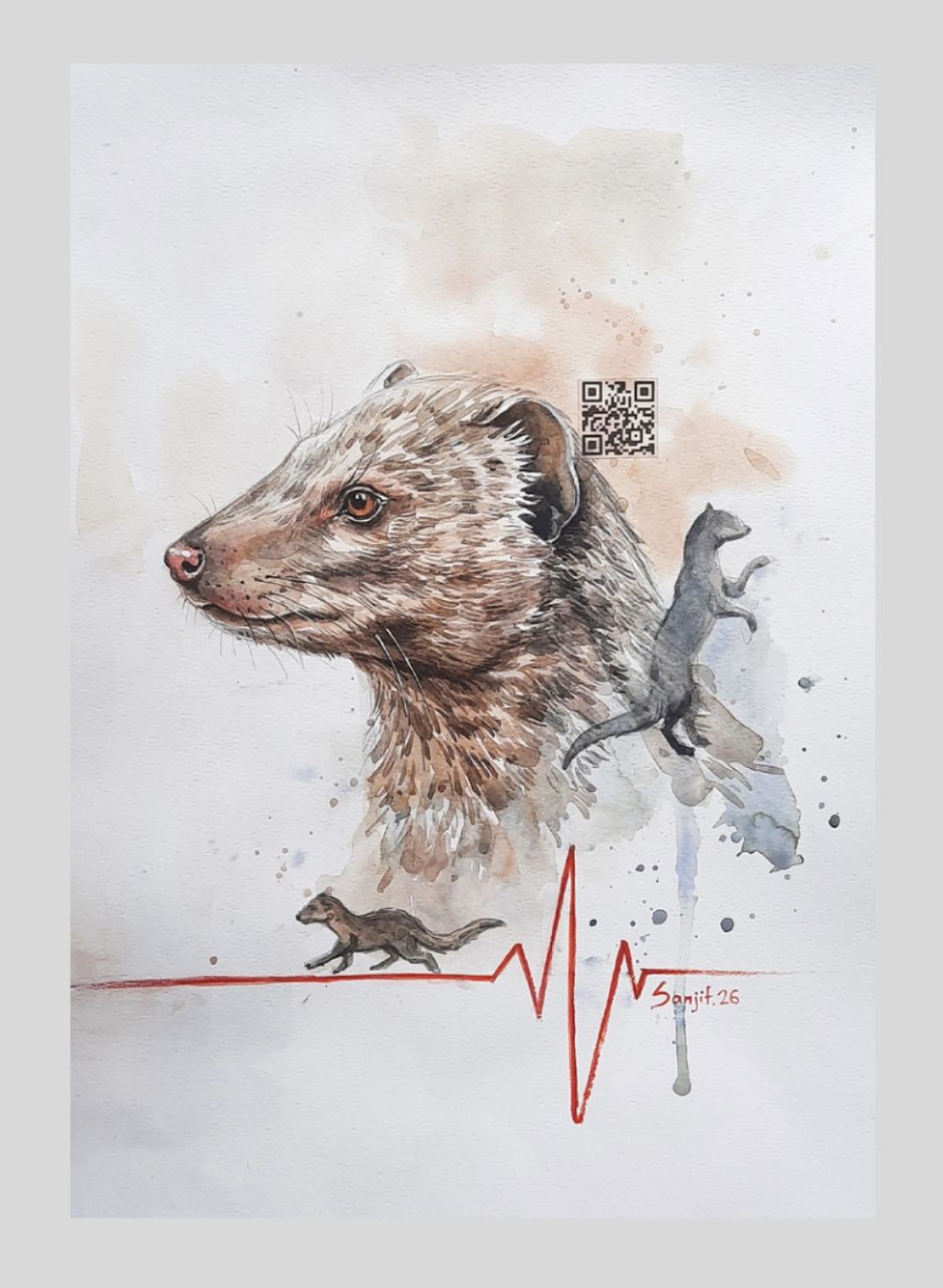 EDANGERED ECHOES - MARSH MONGOOSE